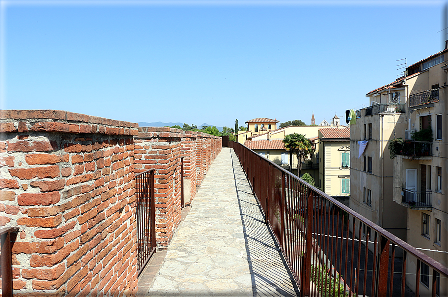 foto Camminamento delle mura di Pisa